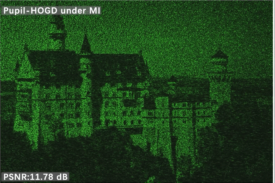 First research result visualization
